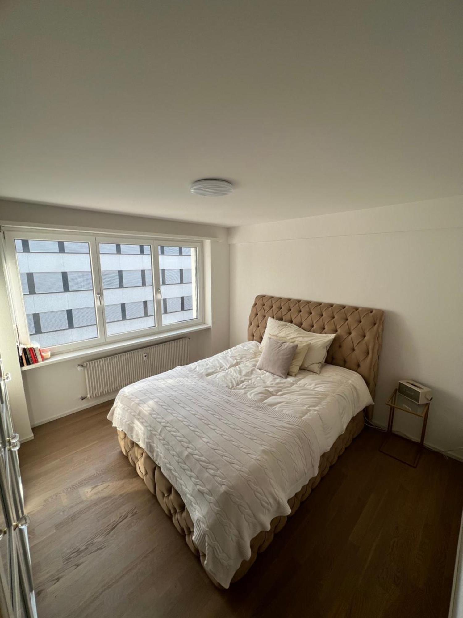 Best Located & Fully Equipped Apartment At Basel Sbb Main Station Экстерьер фото